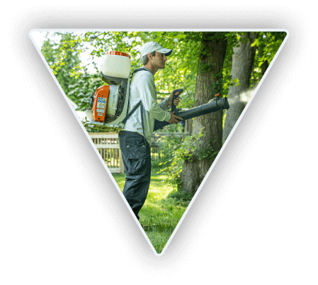 Man spraying for mosquitos in an area with lots of trees