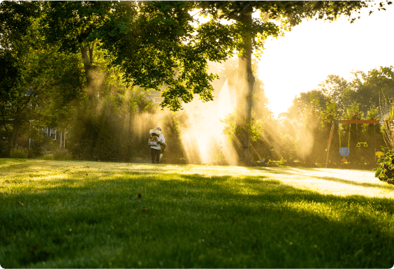 Man spraying for pests in the distance outside on a bright morning